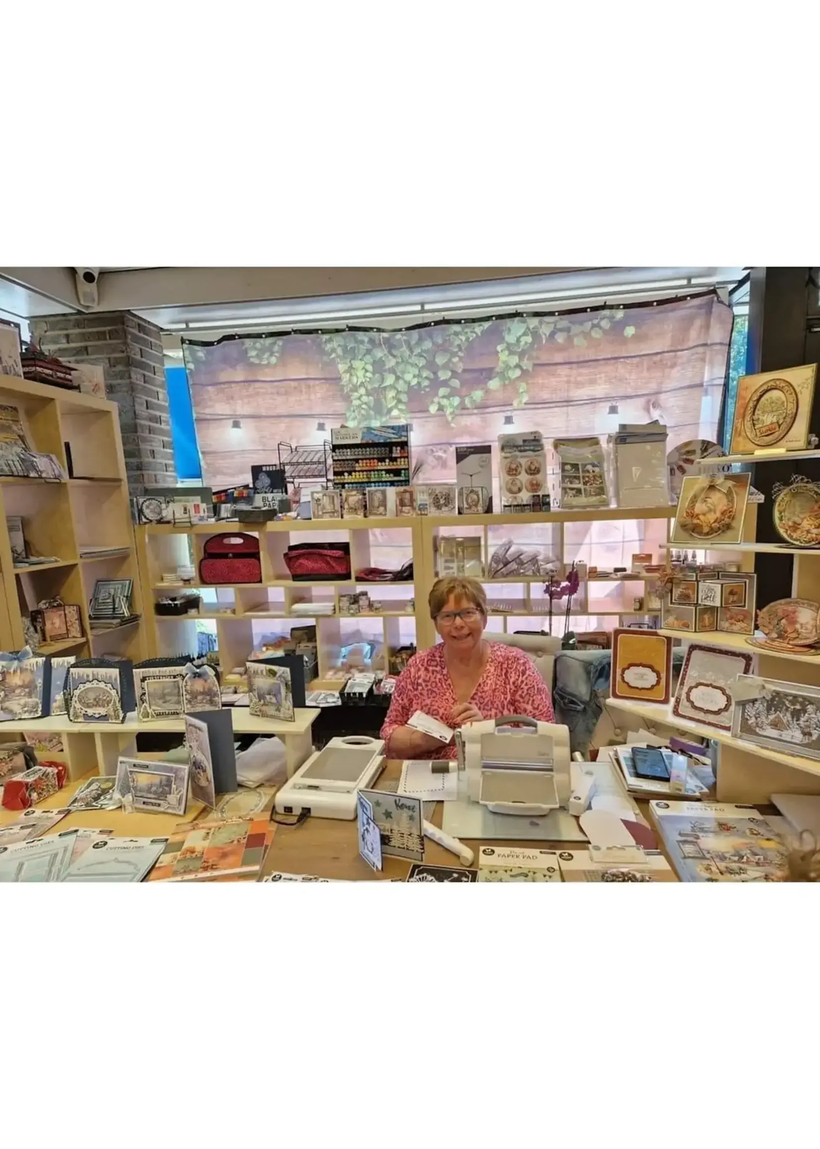 kaarten maken met Ineke Bezemer 10 juni 2026