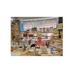 kaarten maken met Ineke Bezemer 15 april  2026