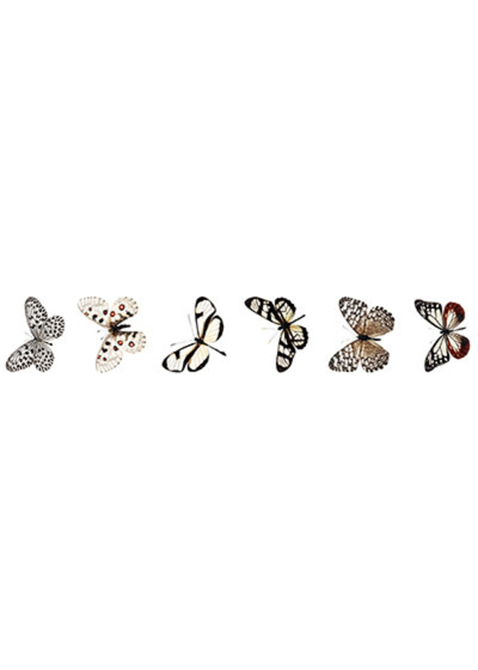 SL-GR-STIC54 - Butterfly Grunge Collection 5 Meter nr. 54