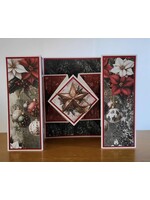 Diamant in de kaart  Lia en Elly