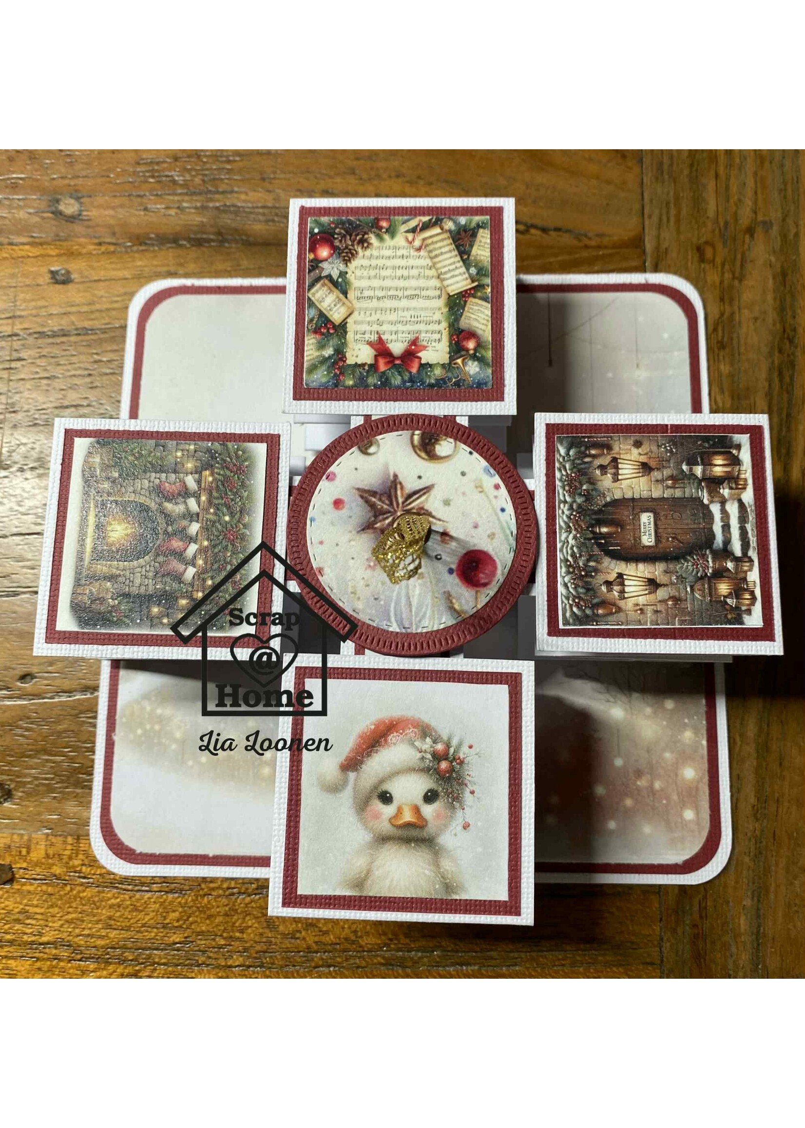 Pull up accordeonkaart Lia