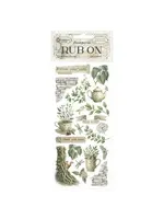 Herbarium Silvae Rub-On 8,33x2,36 Inch Tea Time (DFLRB208)