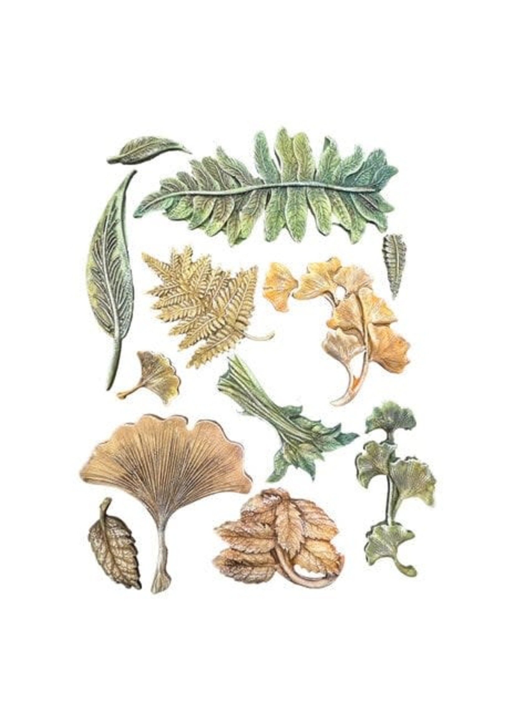 Herbarium Silvae A5 Silicon Mould Botanical Leaf Collection (KACMA597)