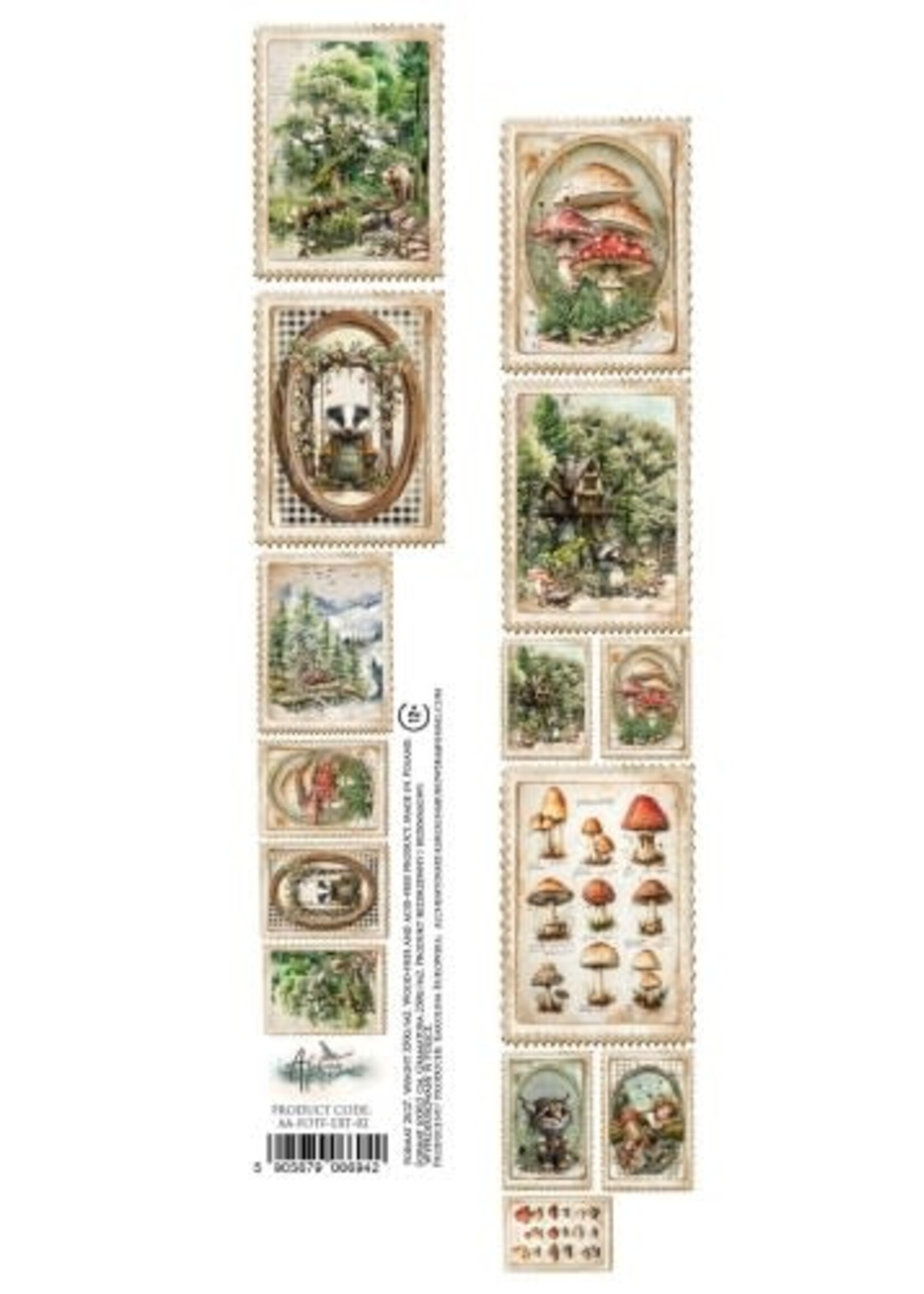 Przyjaciele lasu/ Friends of the Forest 2x12 AA-FOTF-ext-02