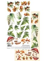 Friends of the Forest 6x12 AA-FOTF-09