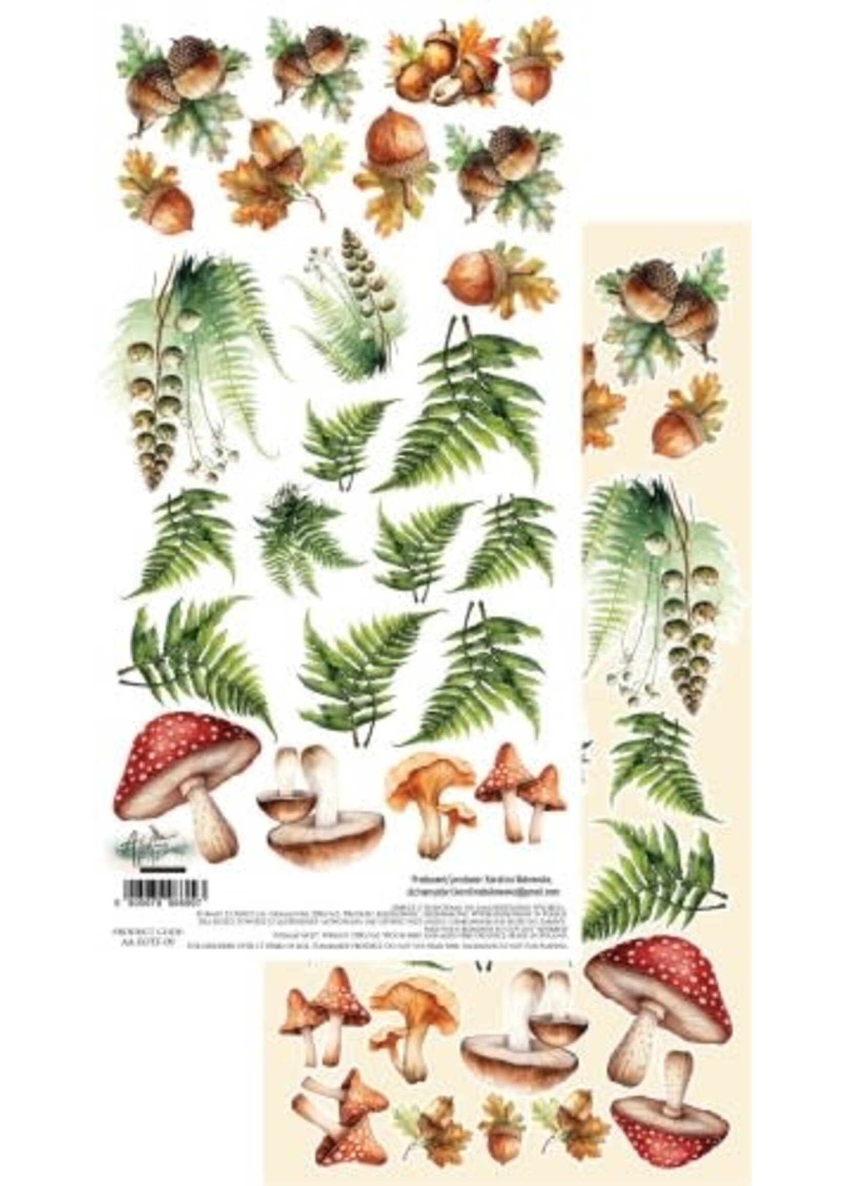 Friends of the Forest 6x12 AA-FOTF-09