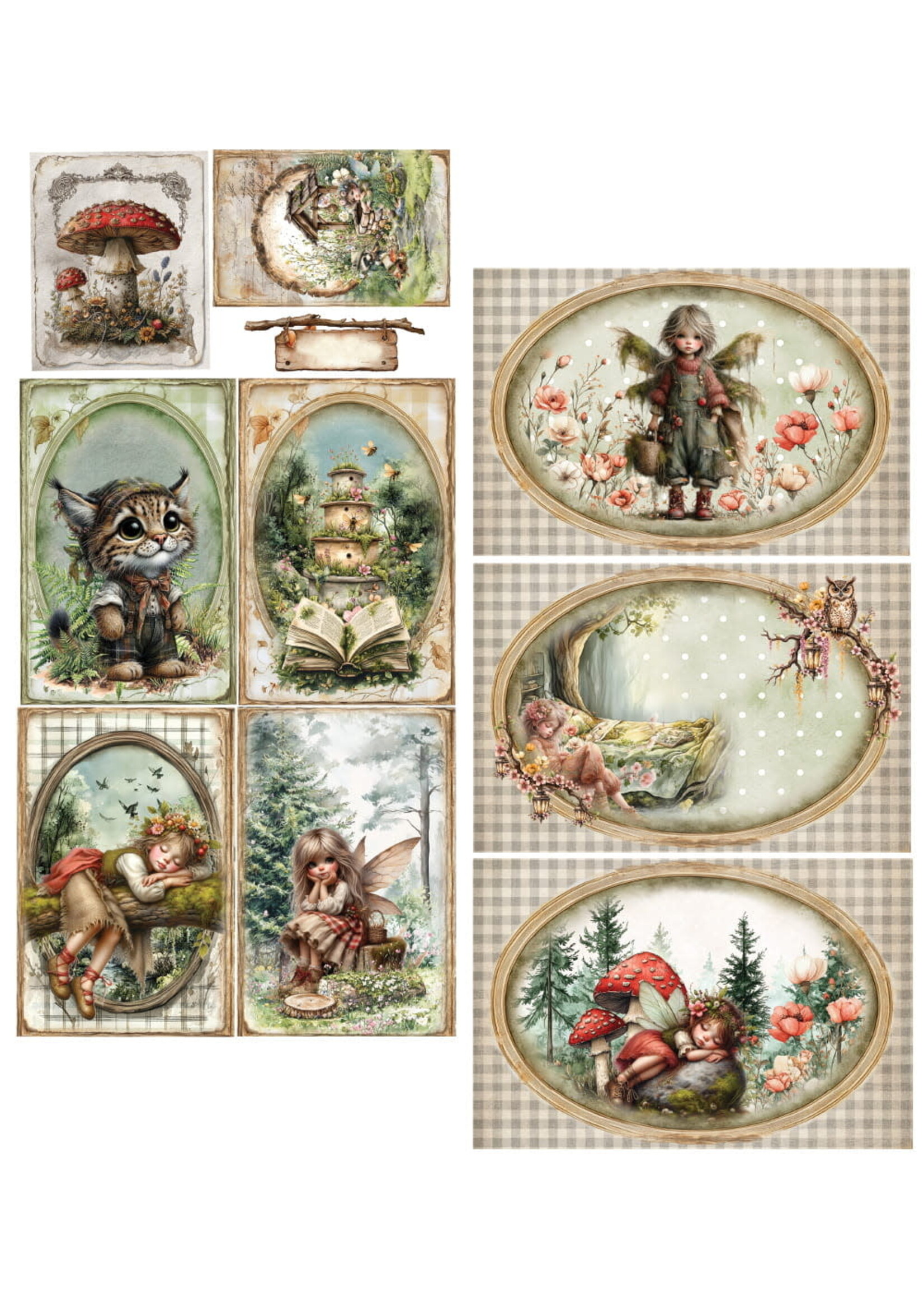 Friends of the Forest 6x12 AA-FOTF-11