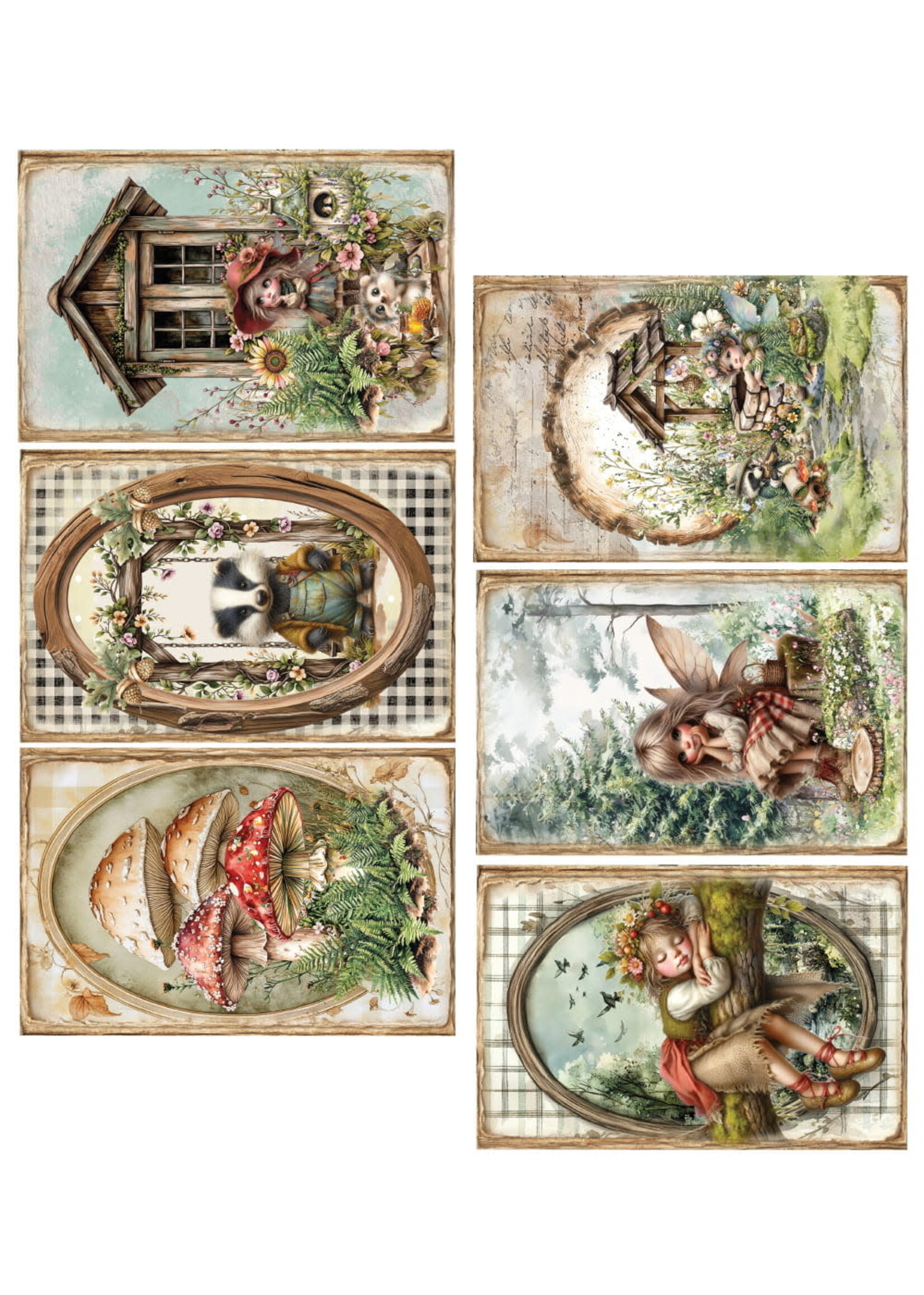 Friends of the Forest 6x12 AA-FOTF-11