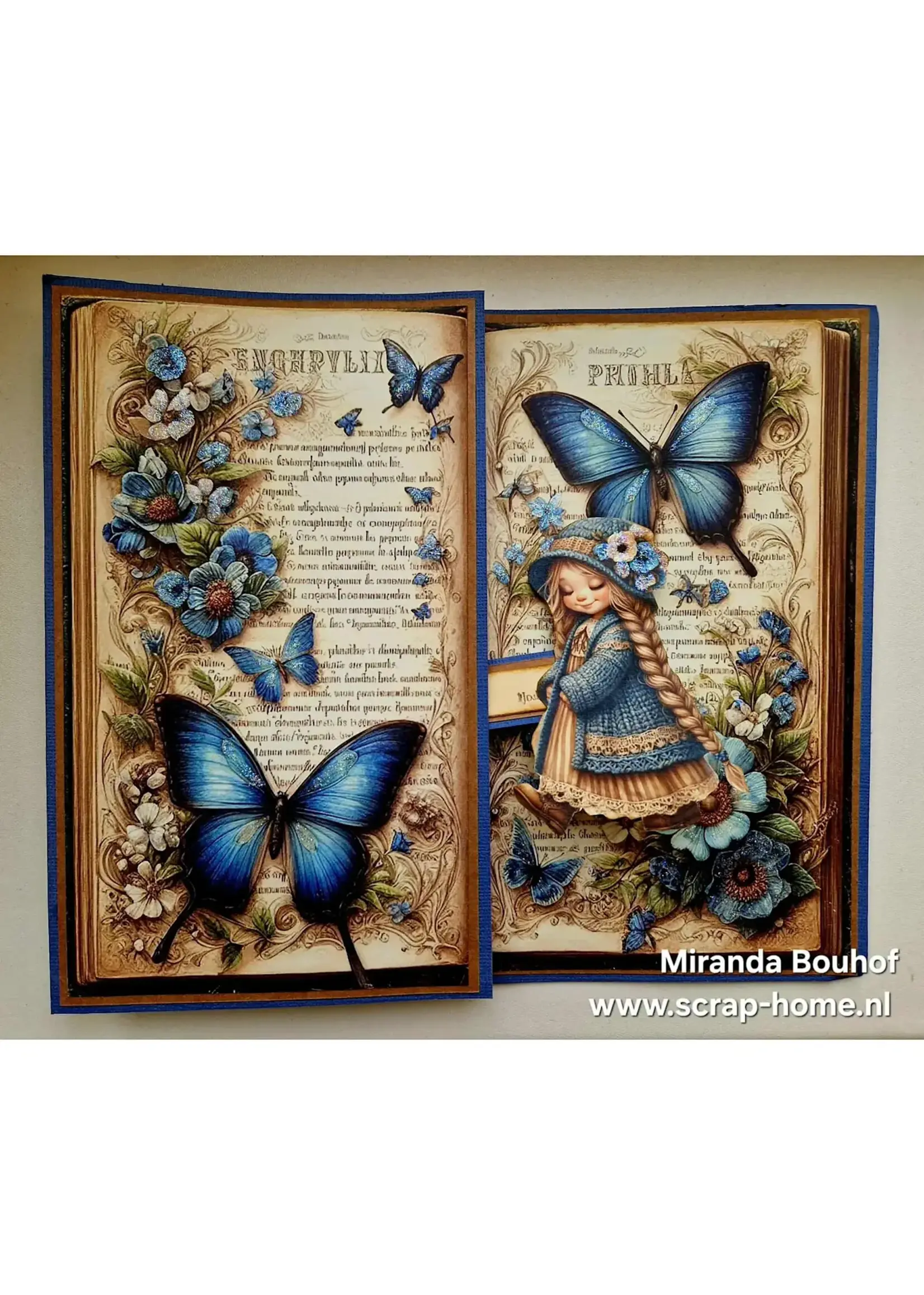 Vlinder Boek Kaart met pop-up  Miranda