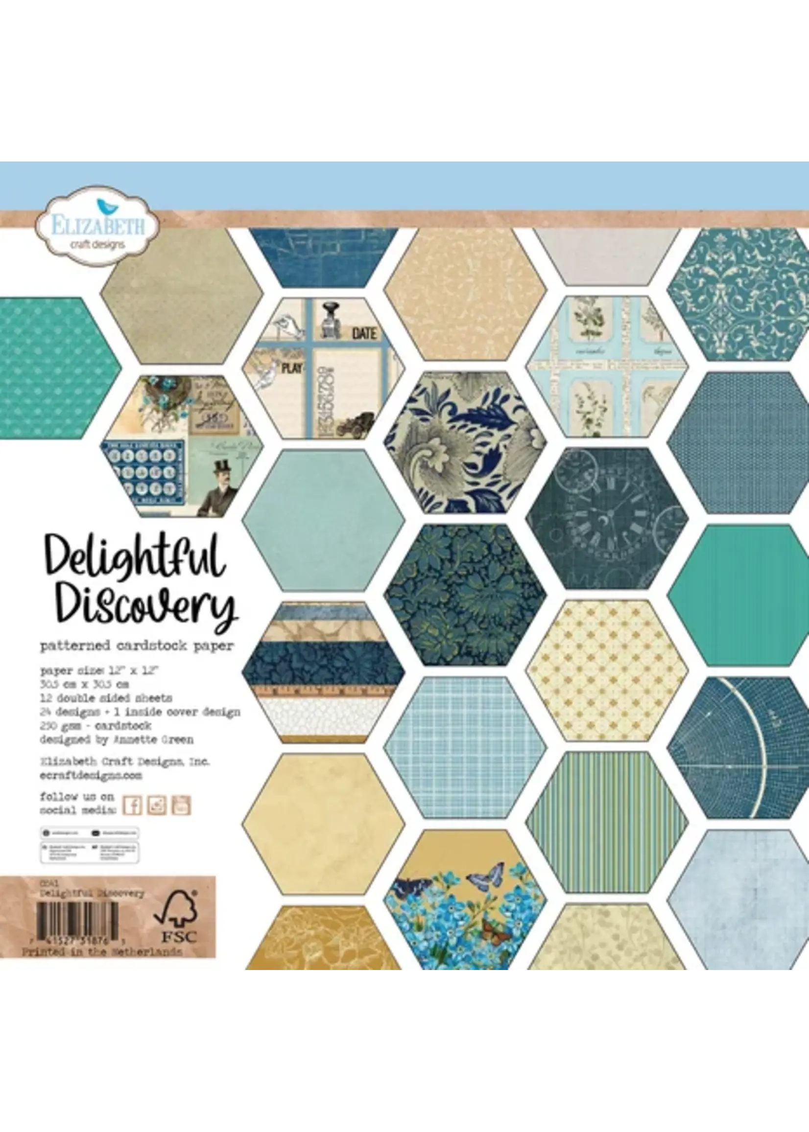 Delightful Discovery 12x12 Inch Patterned Cardstock (C041)