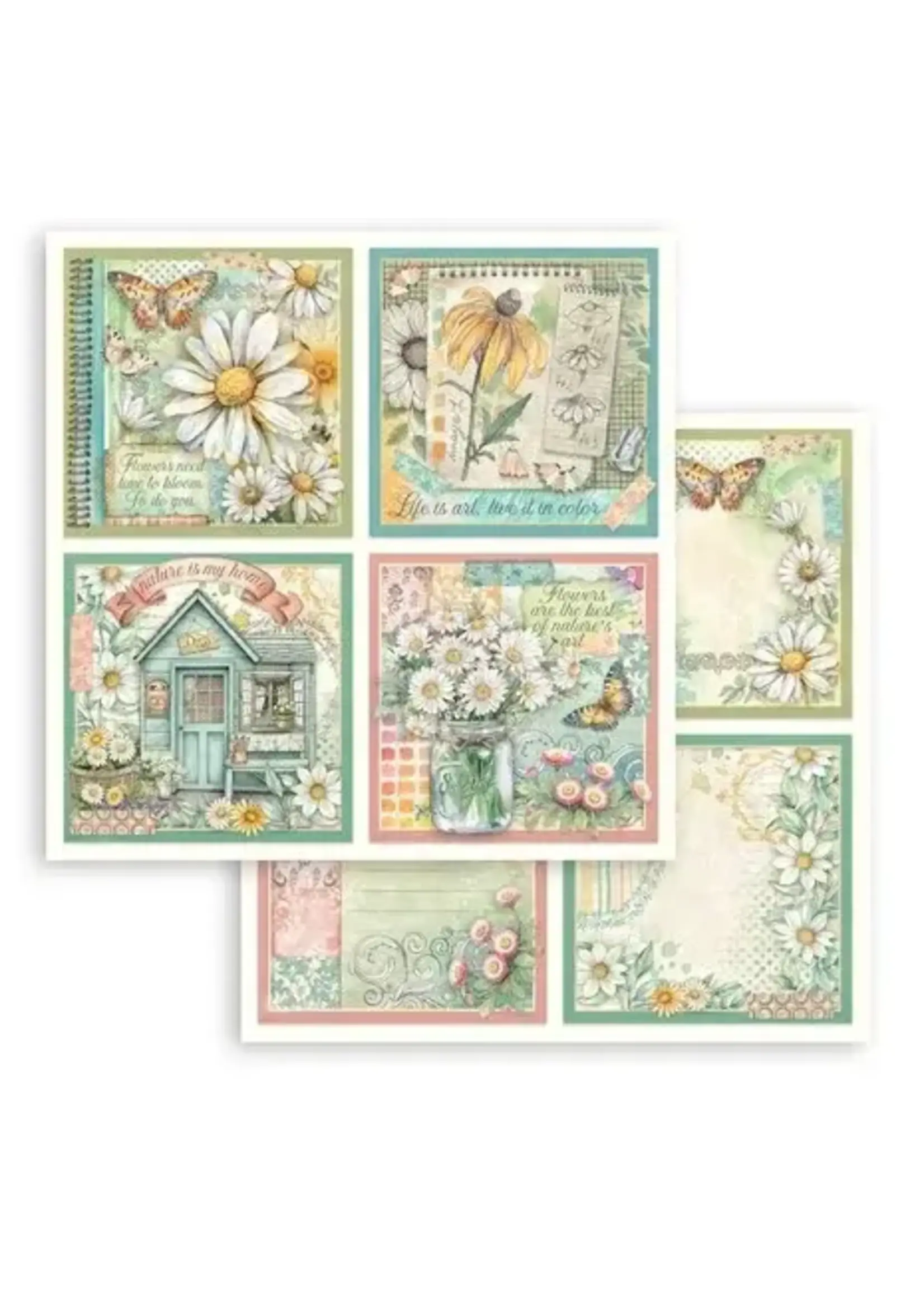 Daisy Art 12x12 Inch Paper Sheet 4 Cards (1pcs) (SBB1130