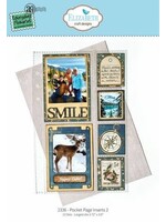 Delightful Discovery Die Pocket Page Inserts 2 (2336)