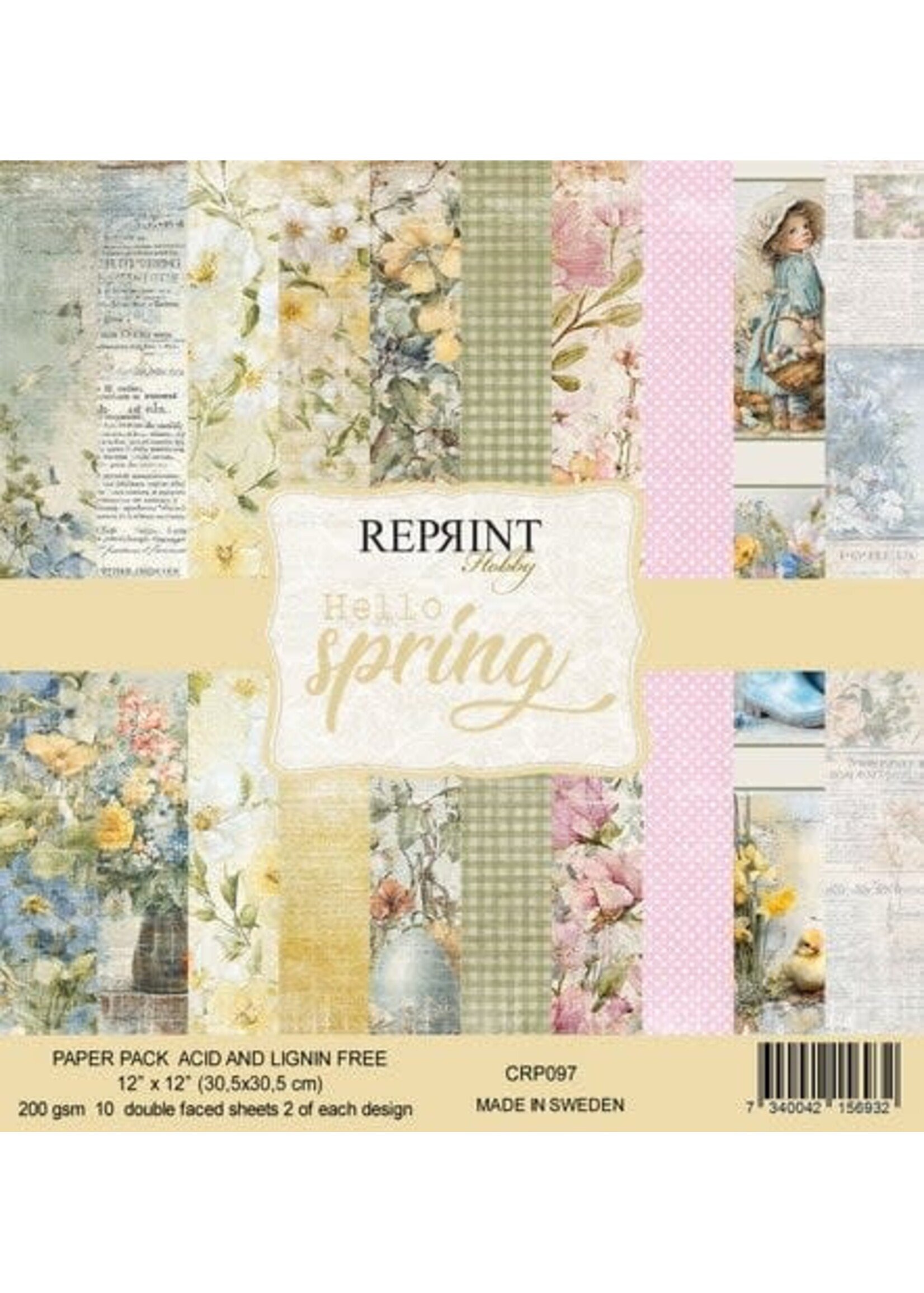 Hello Spring 12x12 Inch Paper Pack (CRP097)