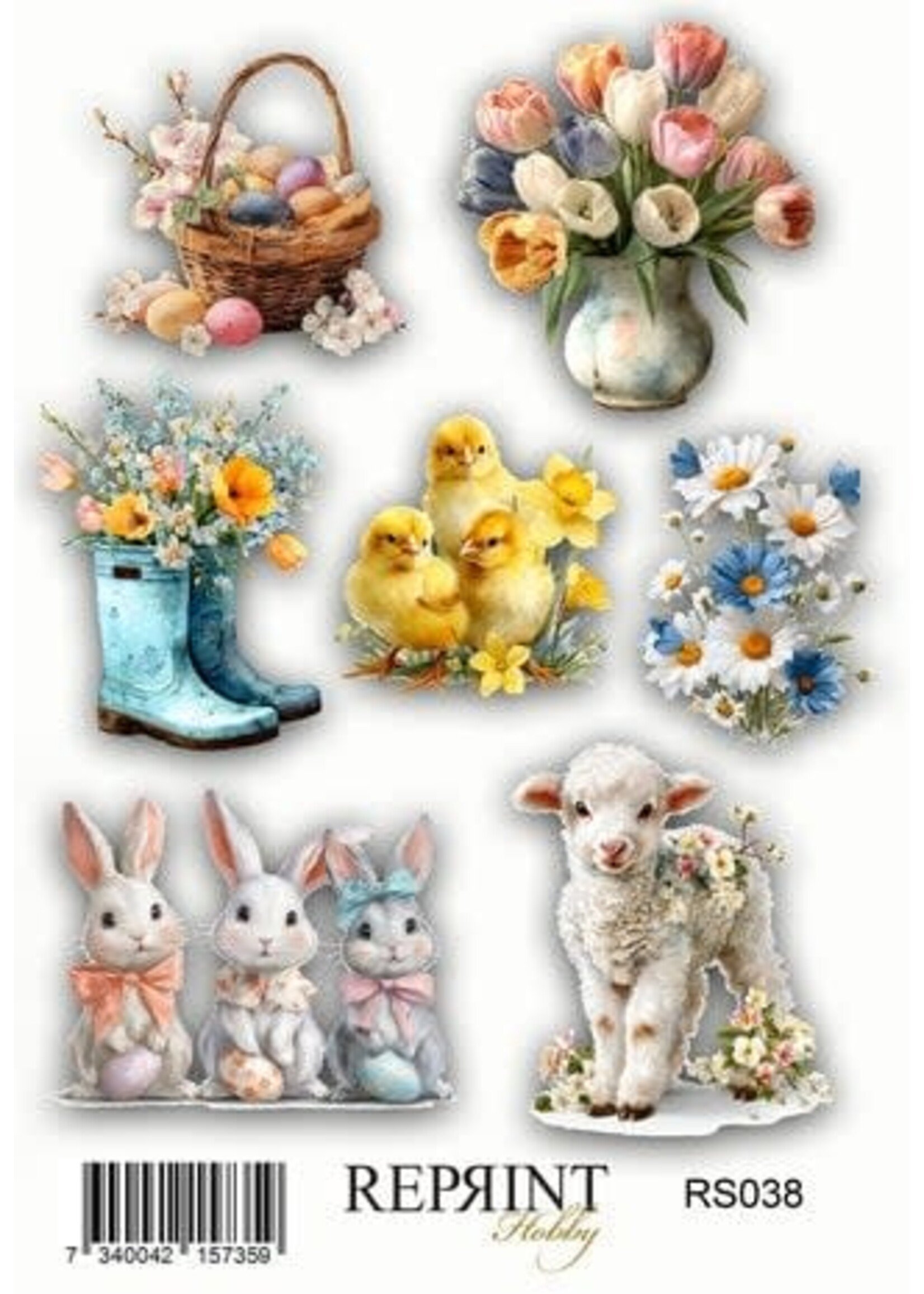 Hello Spring 10x16cm Stickers (RS038)