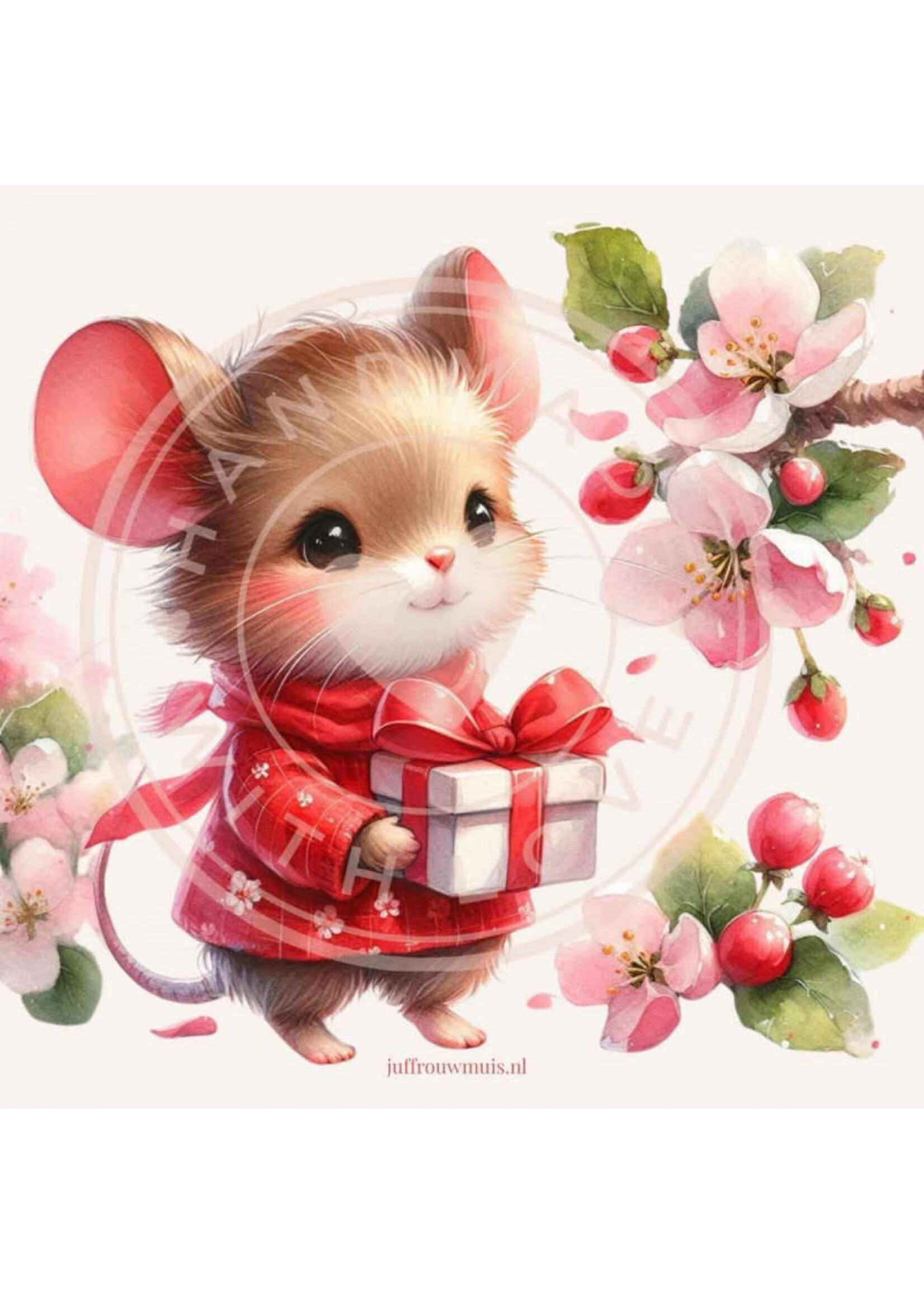 Juffrouw Muis Journal Cards - 8 stuks assorti formaat 9,8 x 9,8