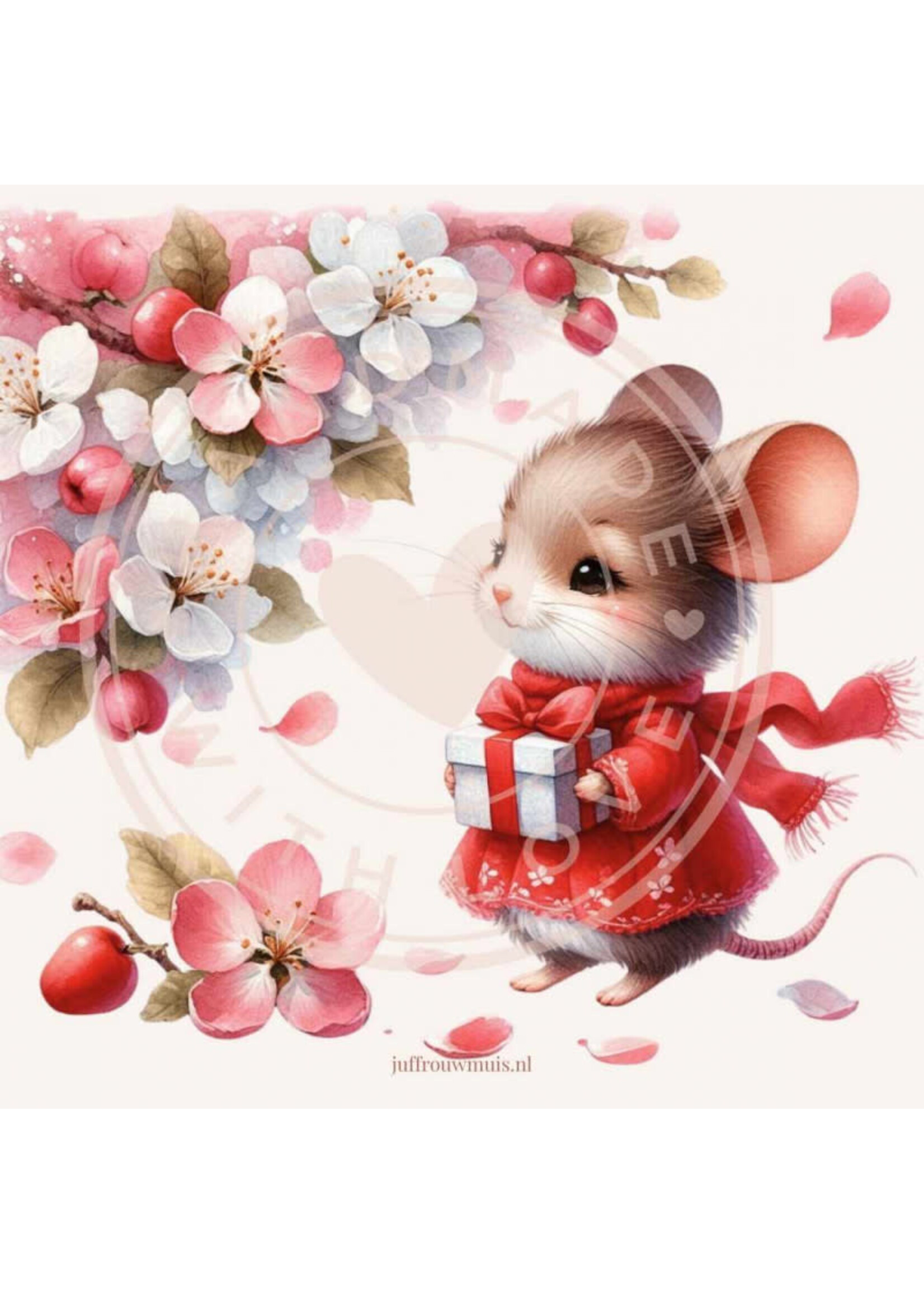 Juffrouw Muis Journal Cards - 8 stuks assorti formaat 9,8 x 9,8