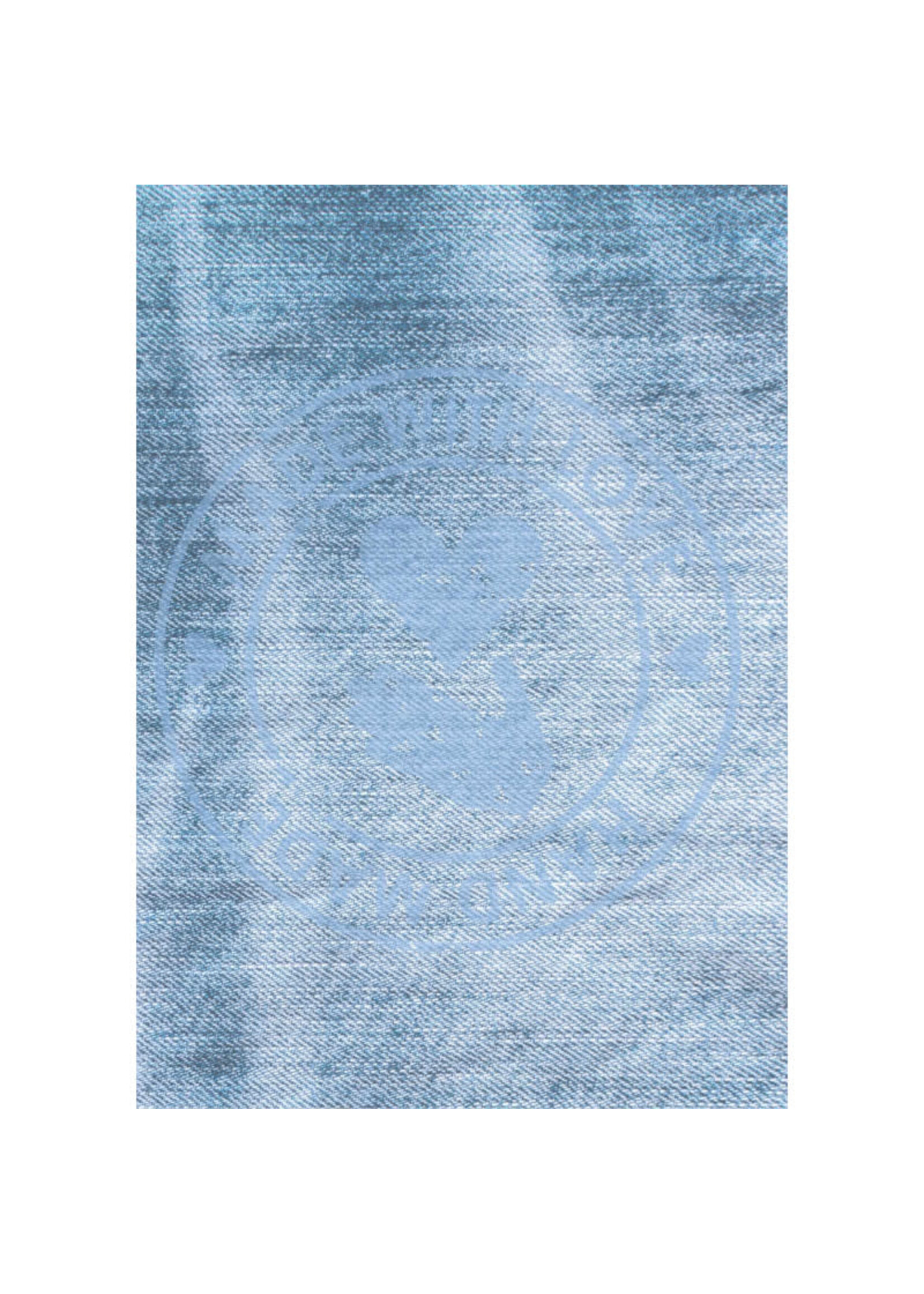 Tiny Cardstock - A5 - Boy's will be Boys