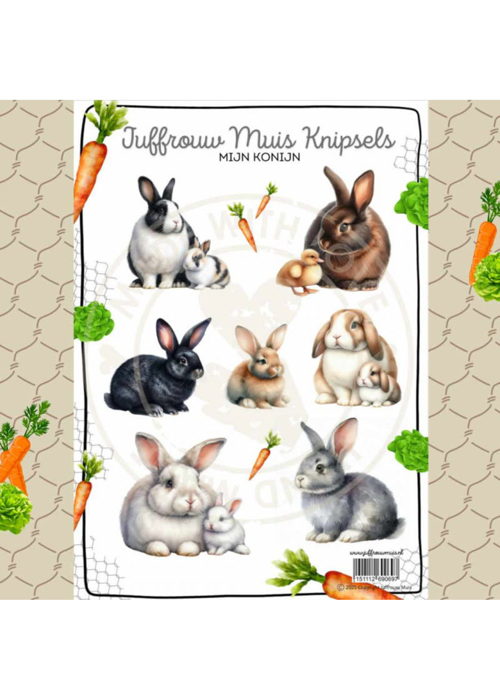 Juffrouw Muis Knipsel - Mijn Konijn