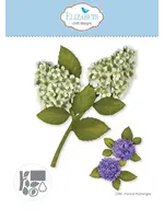 Pluimhortensia Papieren bloemenSKU: 2348