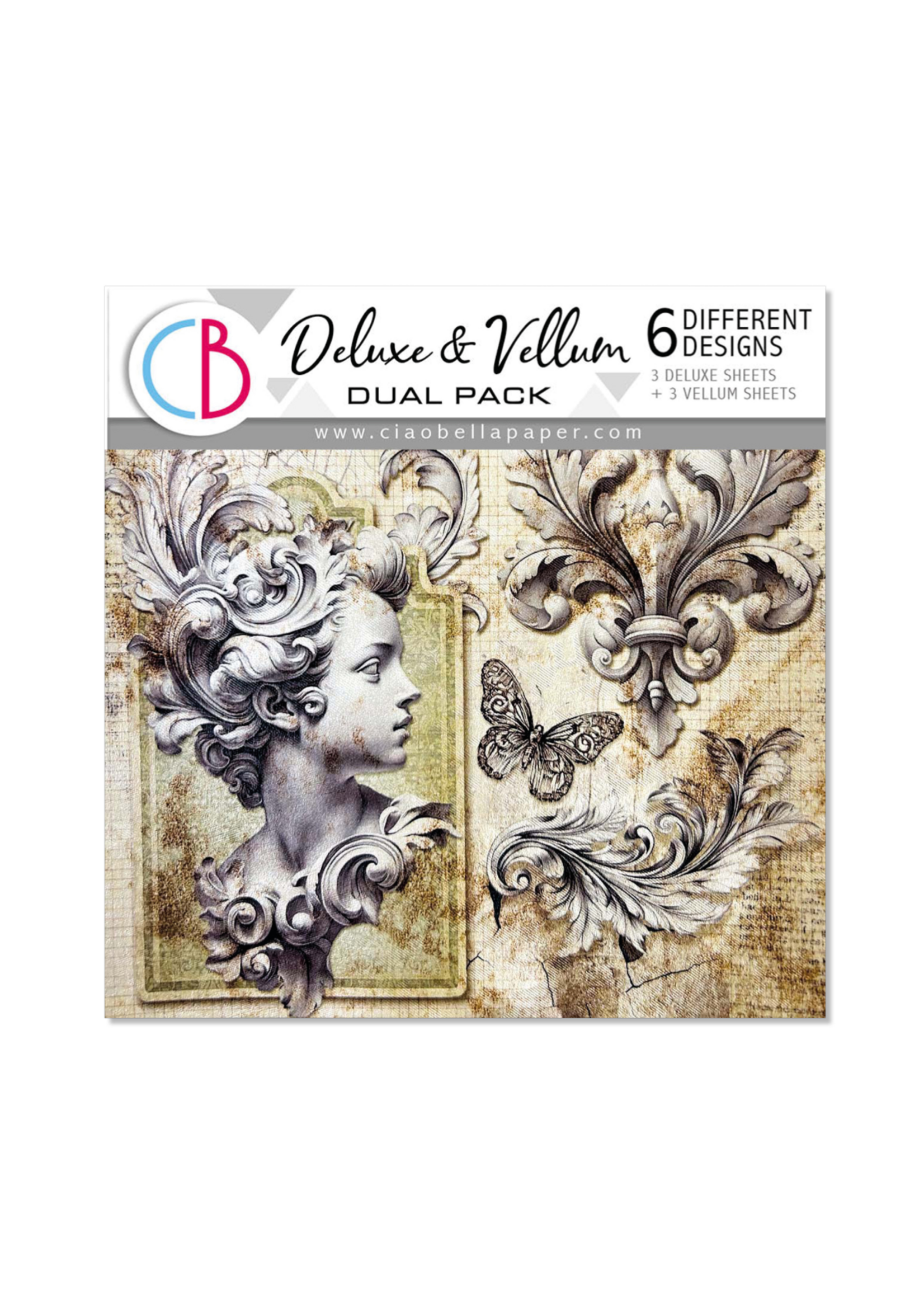 Deluxe Papier & Vellum Dubbelpakket GEMENGD 6/Pkg Typografisch