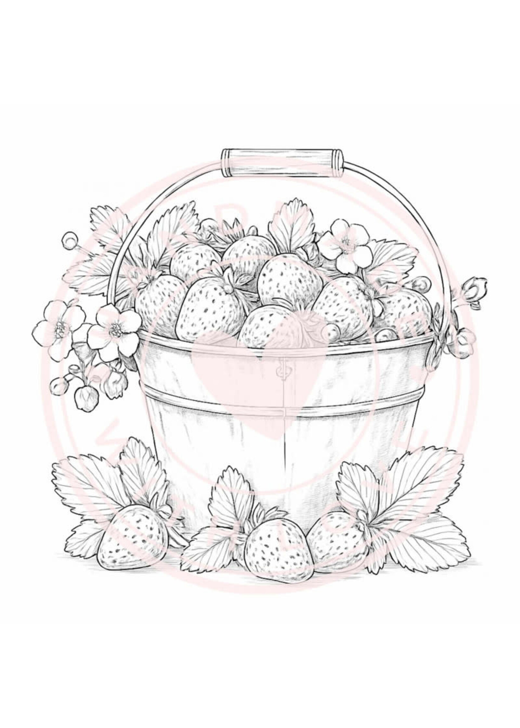 Juffrouw Muis - Coloring Pad - Sweet Strawberry  Geschikt voor kleurpotloden en markers  (met markers achterblad te gebruiken om doordrukken te voorkomen)