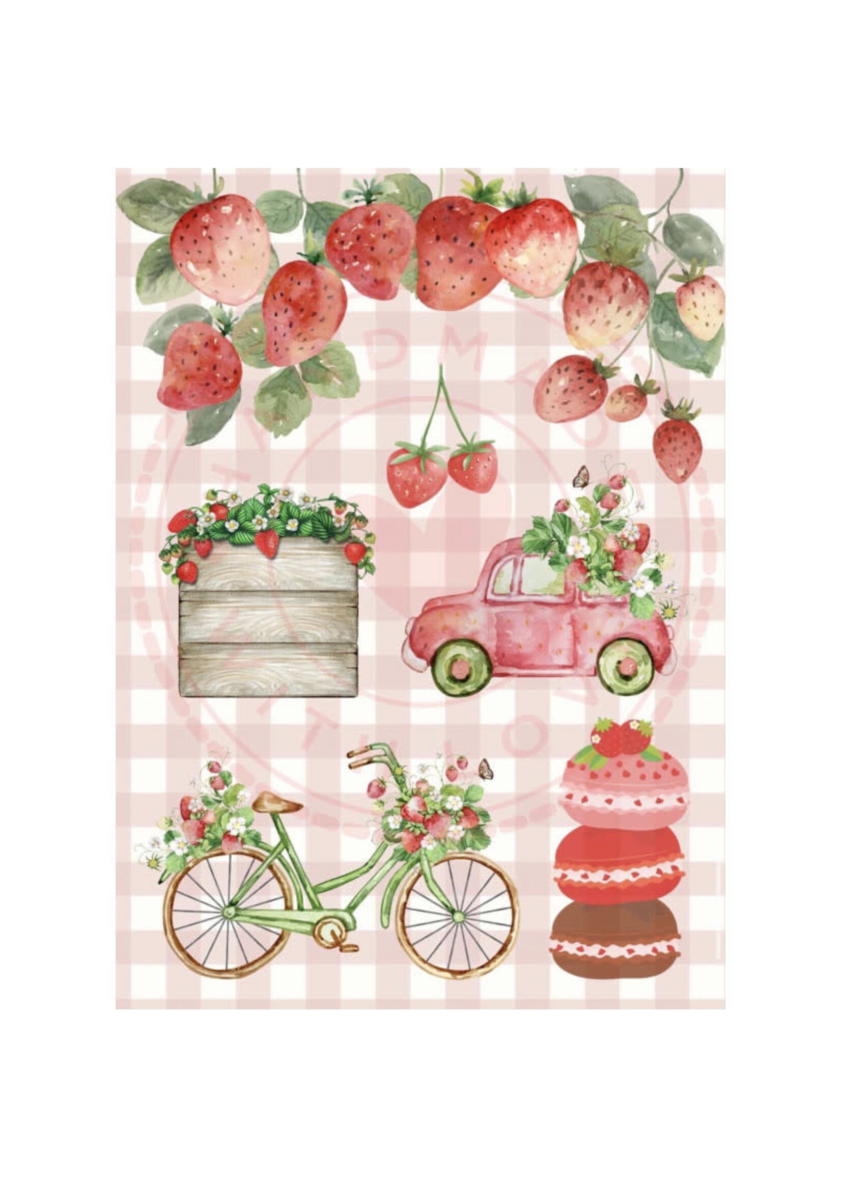Paperpad Pocket sized - Strawberry Studio