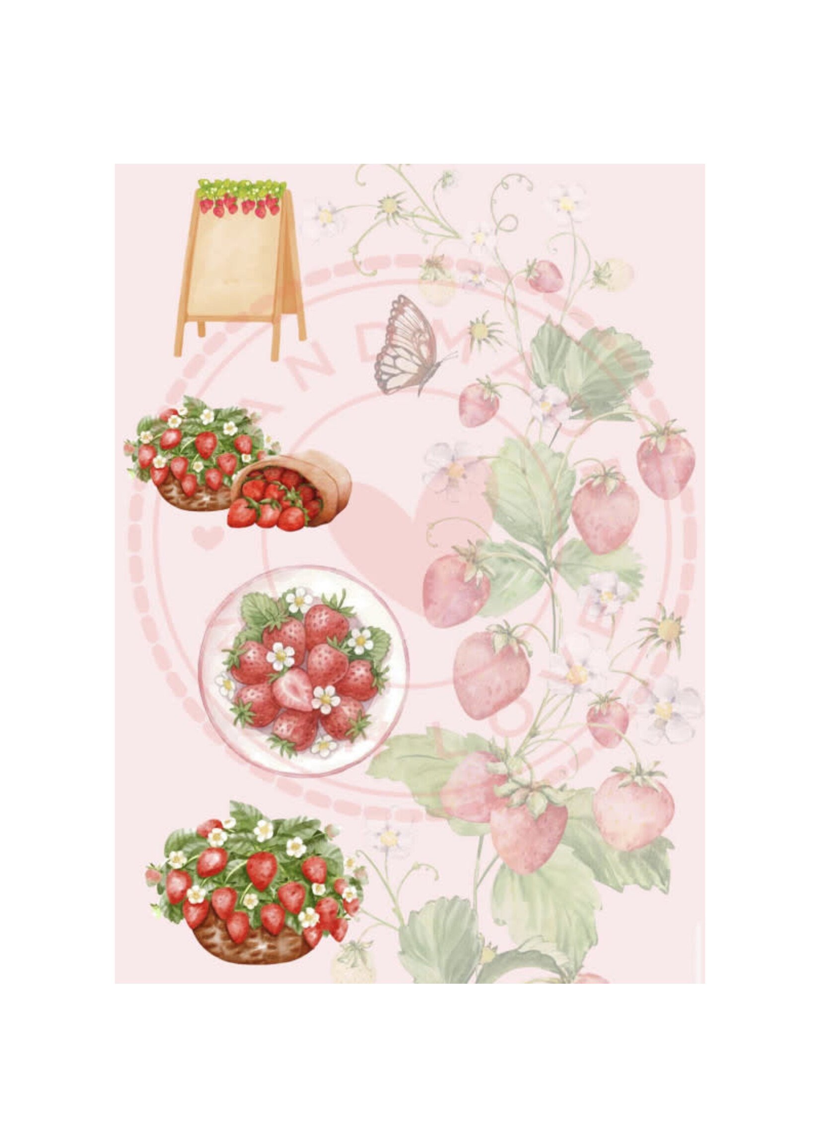 Paperpad Pocket sized - Strawberry Studio