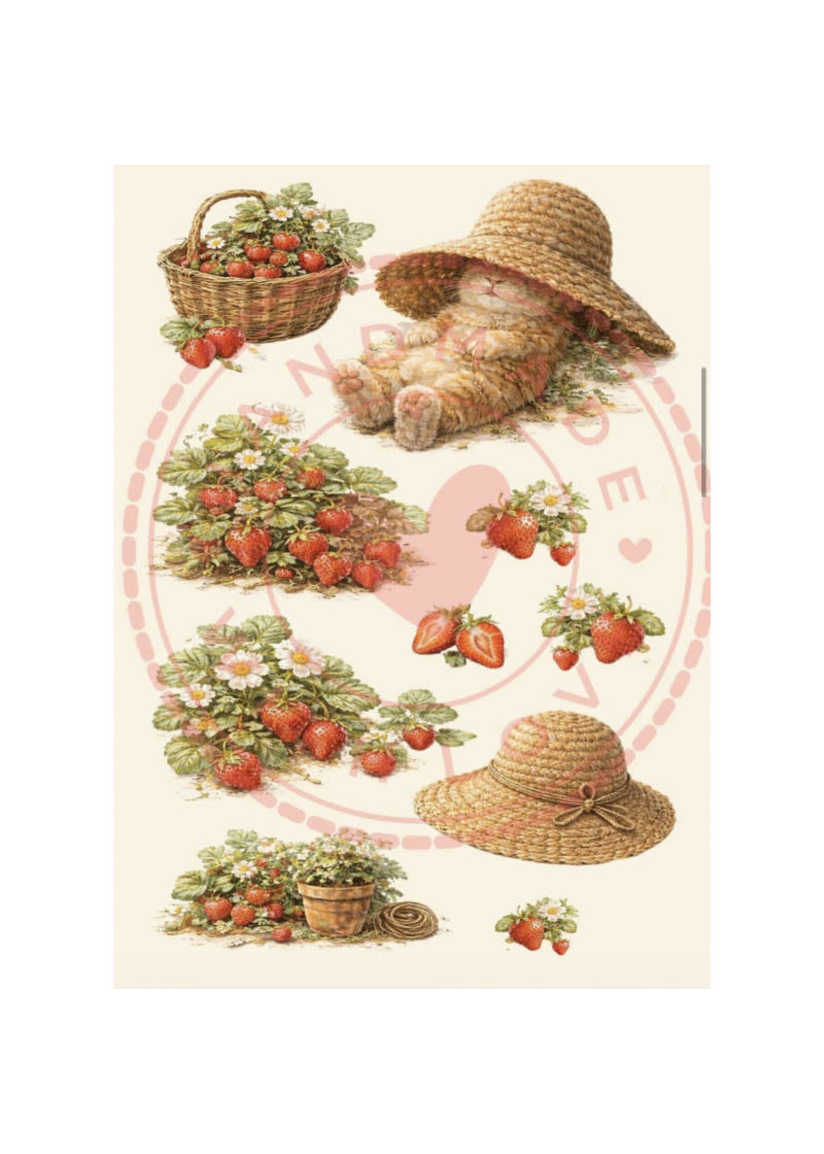 Paperpad Journal Cards - A6 - Strawberry Garden Dreams  10 pagina's enkelzijdig bedrukt