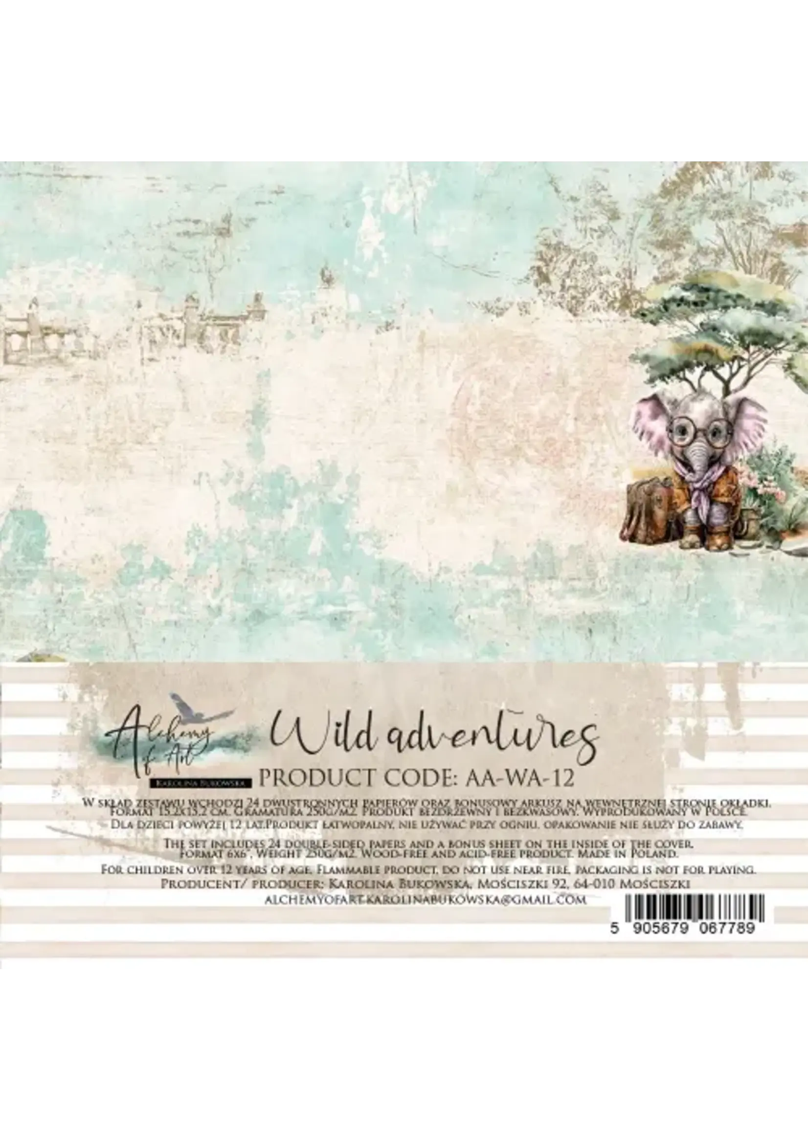 Alchemy of Art - 15x15 cm set - Wild Adventures 12