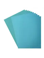 Florence • Glitter Papier en Cardstock Set 216g A4 10x Turquoise/Frosting Florence  800208-014