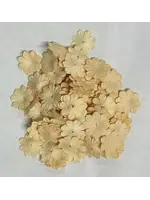 Paper Flowers Creme (100pcs) (FL016)