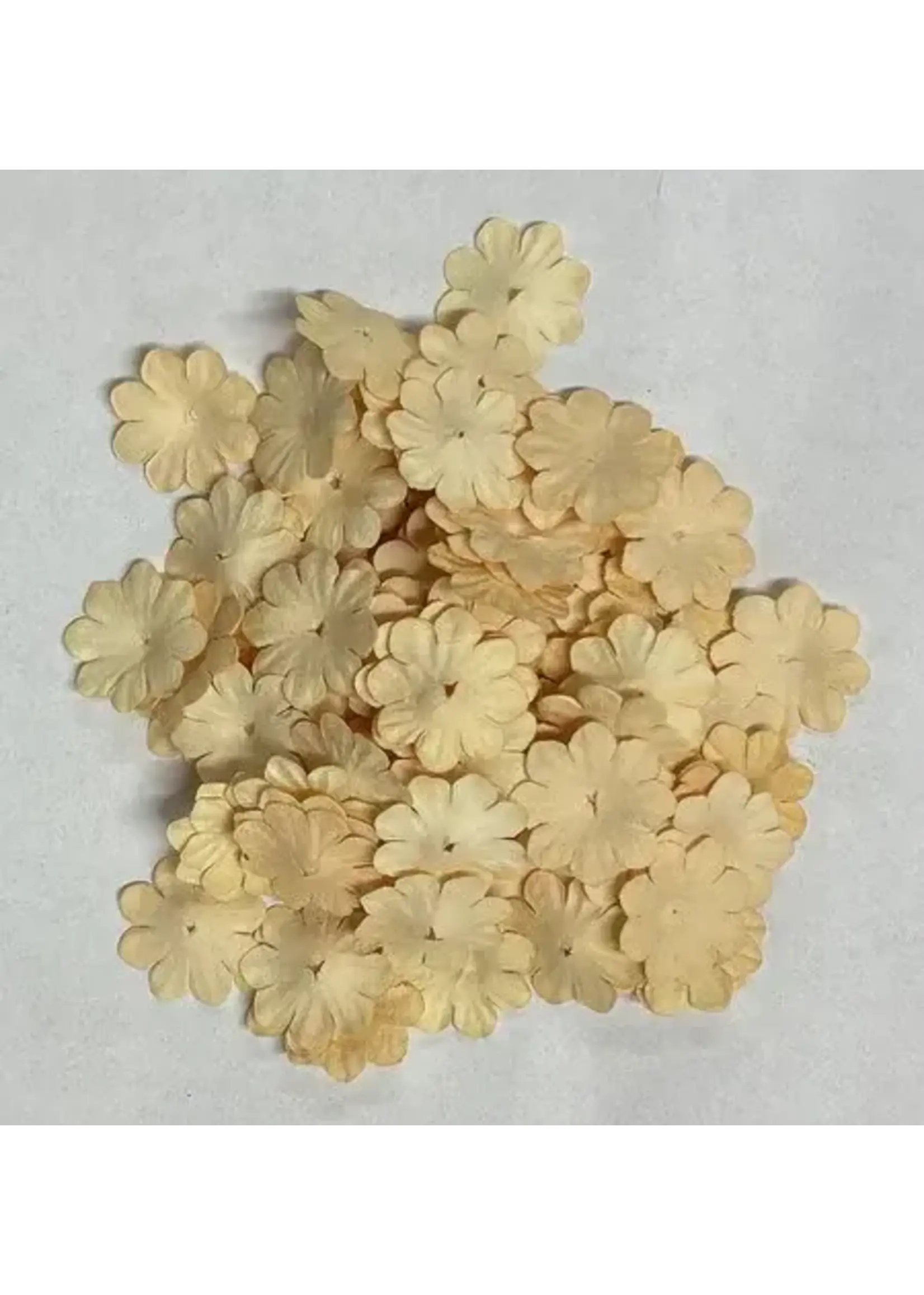 Paper Flowers Creme (100pcs) (FL016)