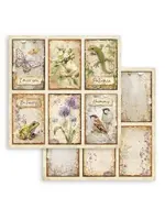 All Around 12x12 Inch Paper Sheet 6 Cards (1pcs) (SBB1149)