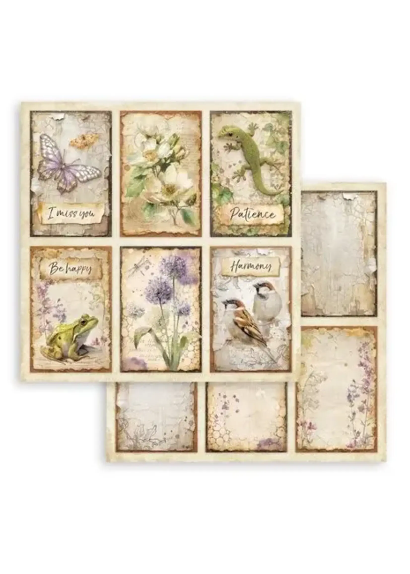 All Around 12x12 Inch Paper Sheet 6 Cards (1pcs) (SBB1149)