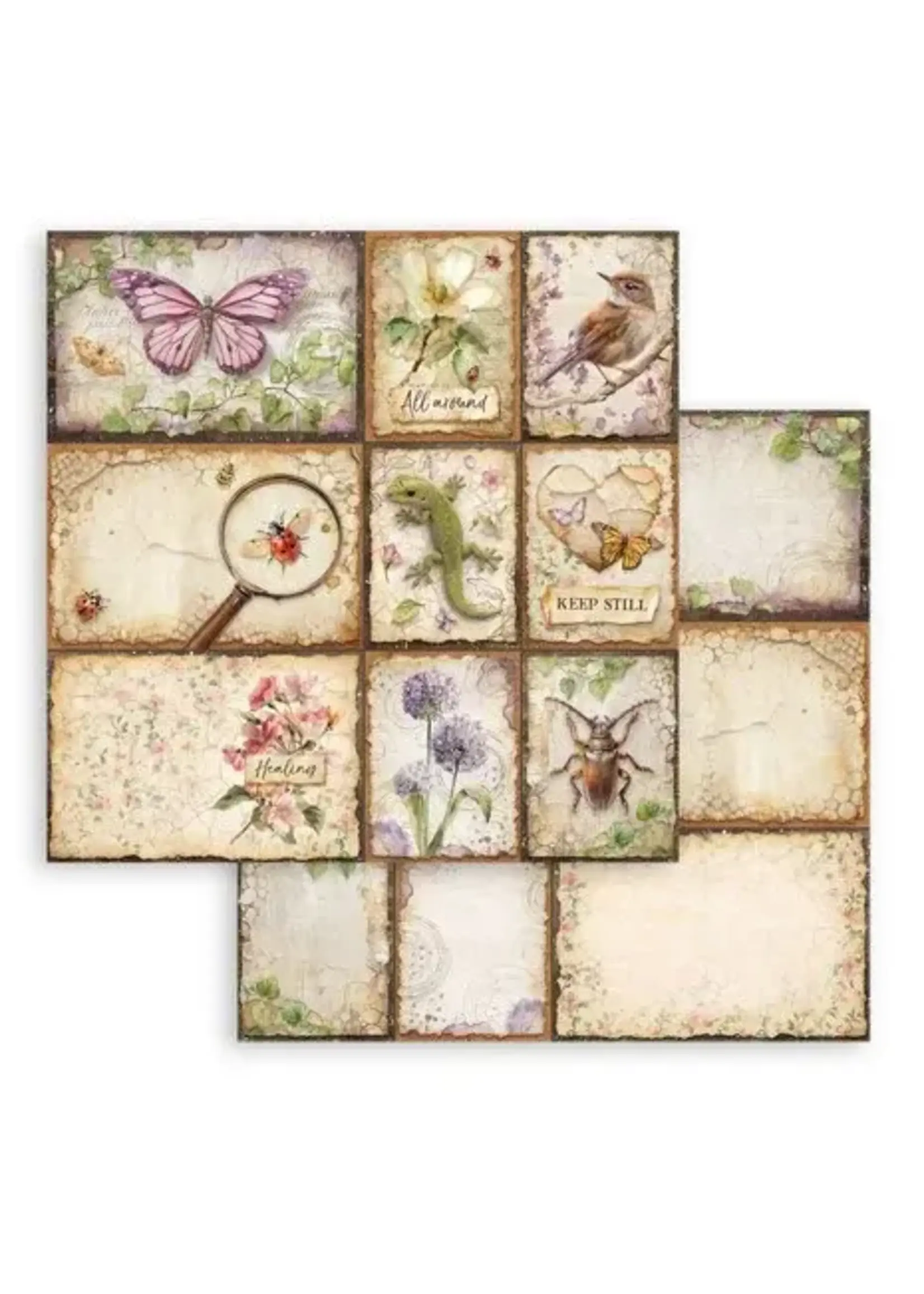 All Around 12x12 Inch Paper Sheet Mixed Cards (10pcs) (SBB1150)