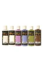All Around Allegro Paint Kit (6pcs) (KALKIT73)
