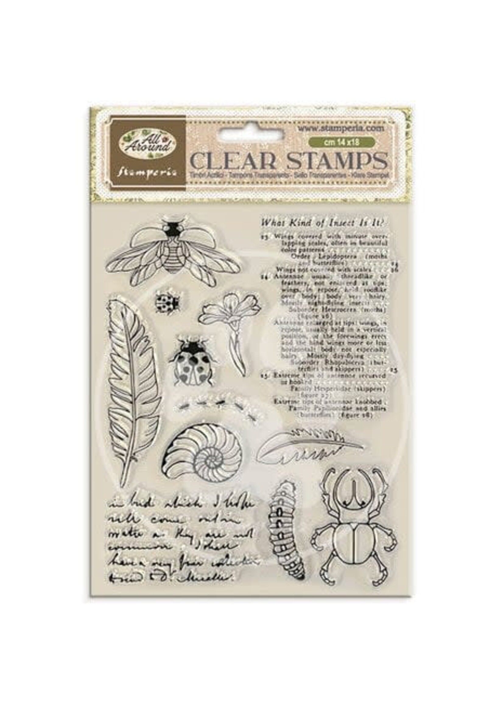 All Around Clear Stamp (WTK241)