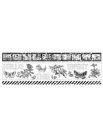 Field Notes PET Tape Set (5cmx5m) (ACSPS0001)