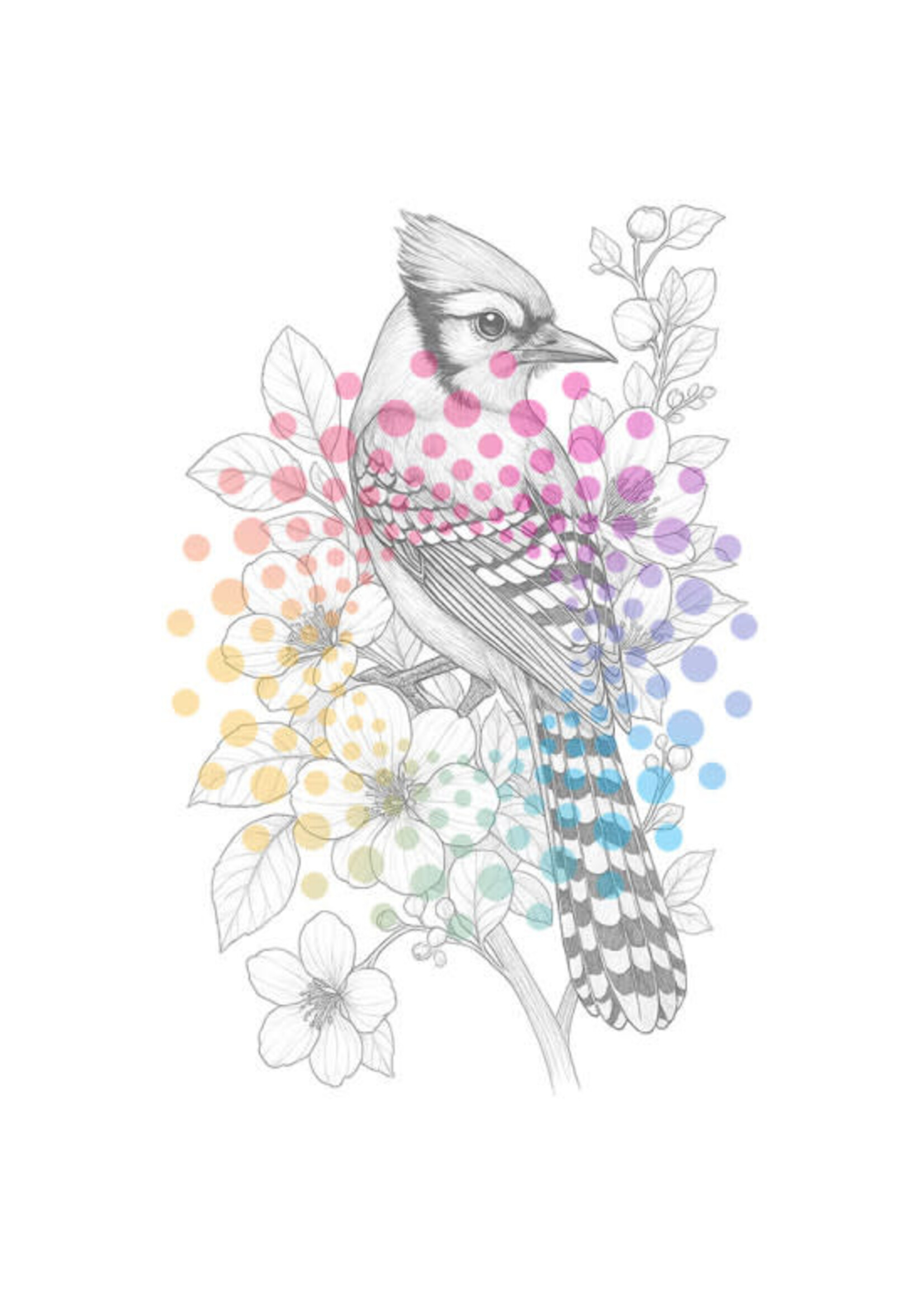 Bloemen & Vogels | Kleurboek voor Volwassenen