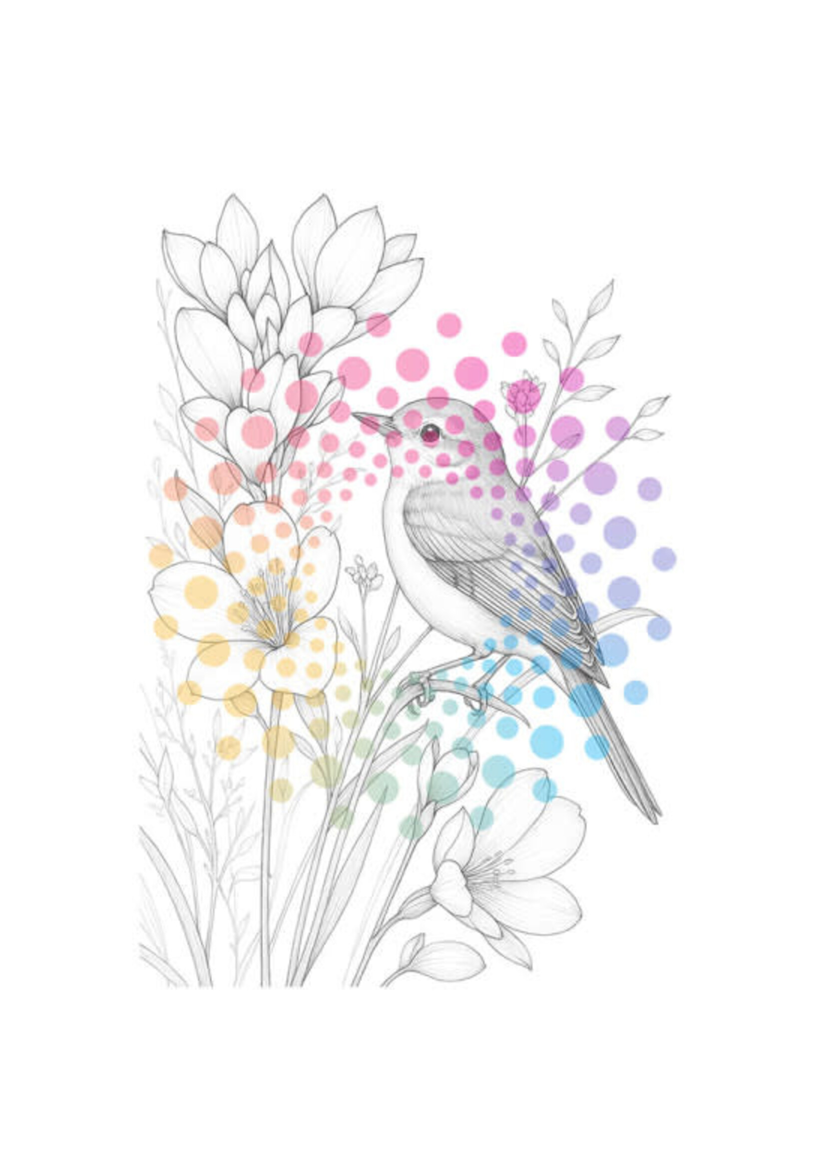Bloemen & Vogels | Kleurboek voor Volwassenen