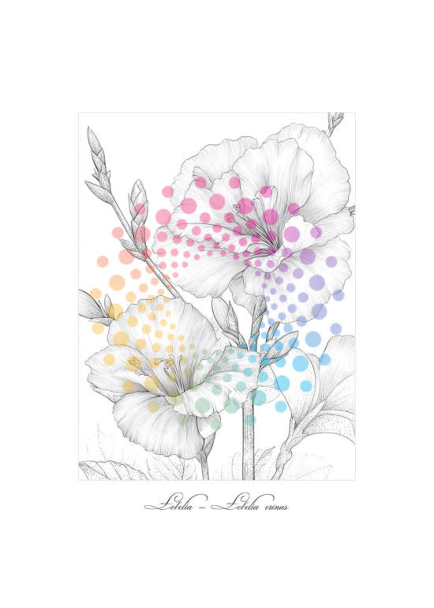 Bloemen in Bloei | Kleurboek voor Volwassenen