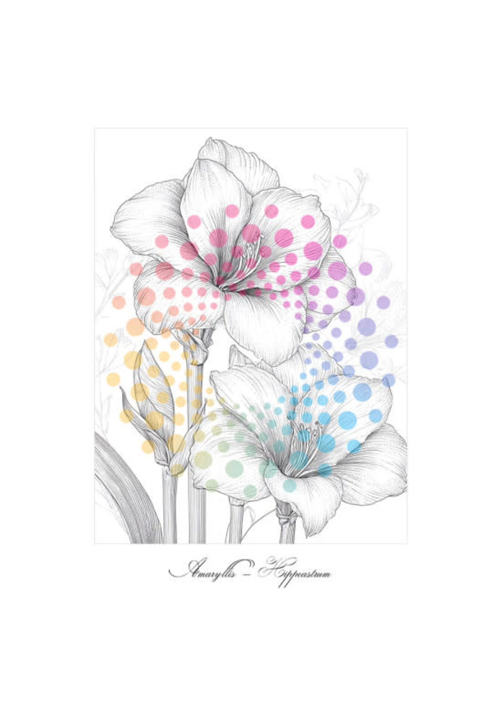 Bloemen in Bloei | Kleurboek voor Volwassenen