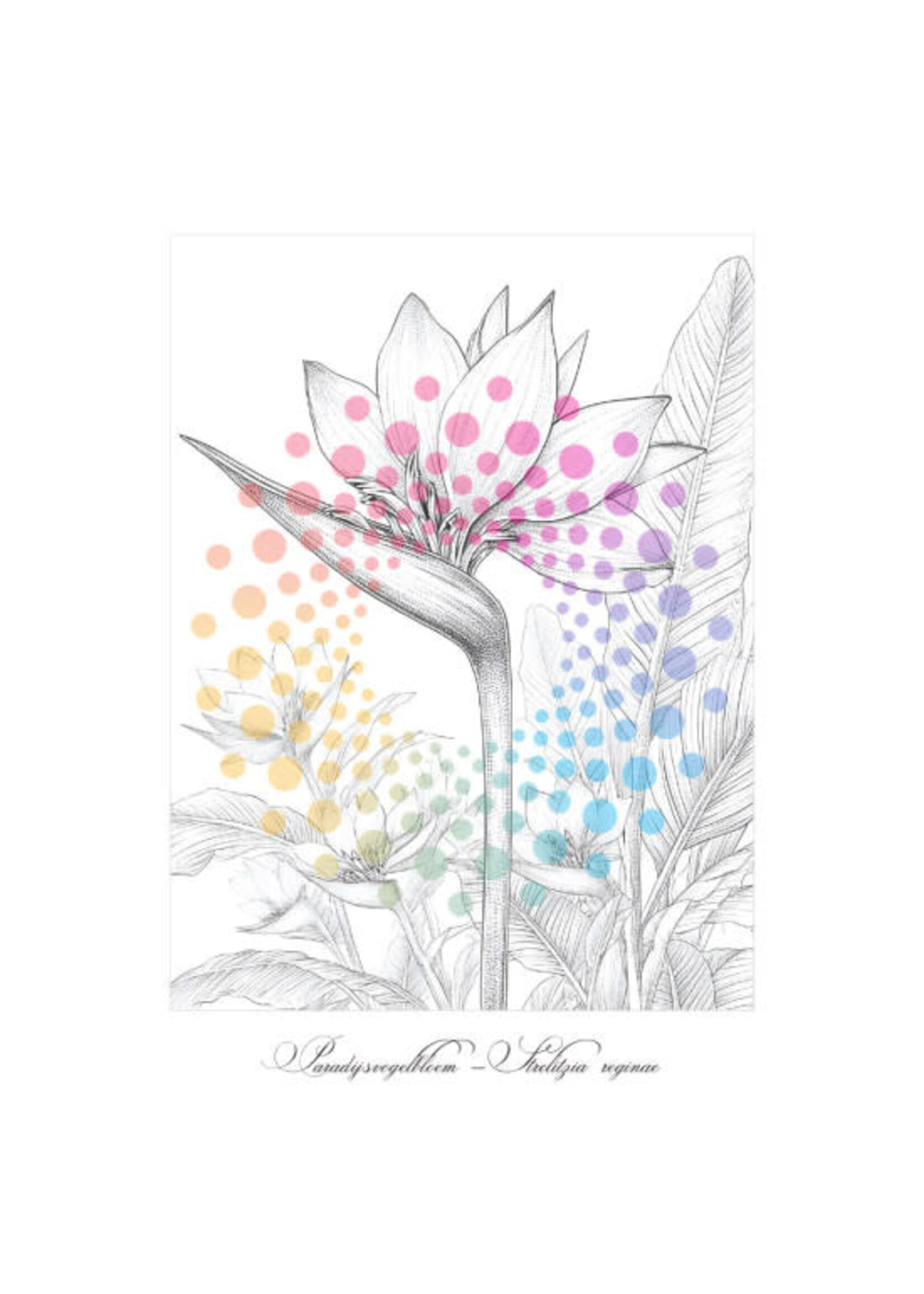 Bloemen in Bloei | Kleurboek voor Volwassenen