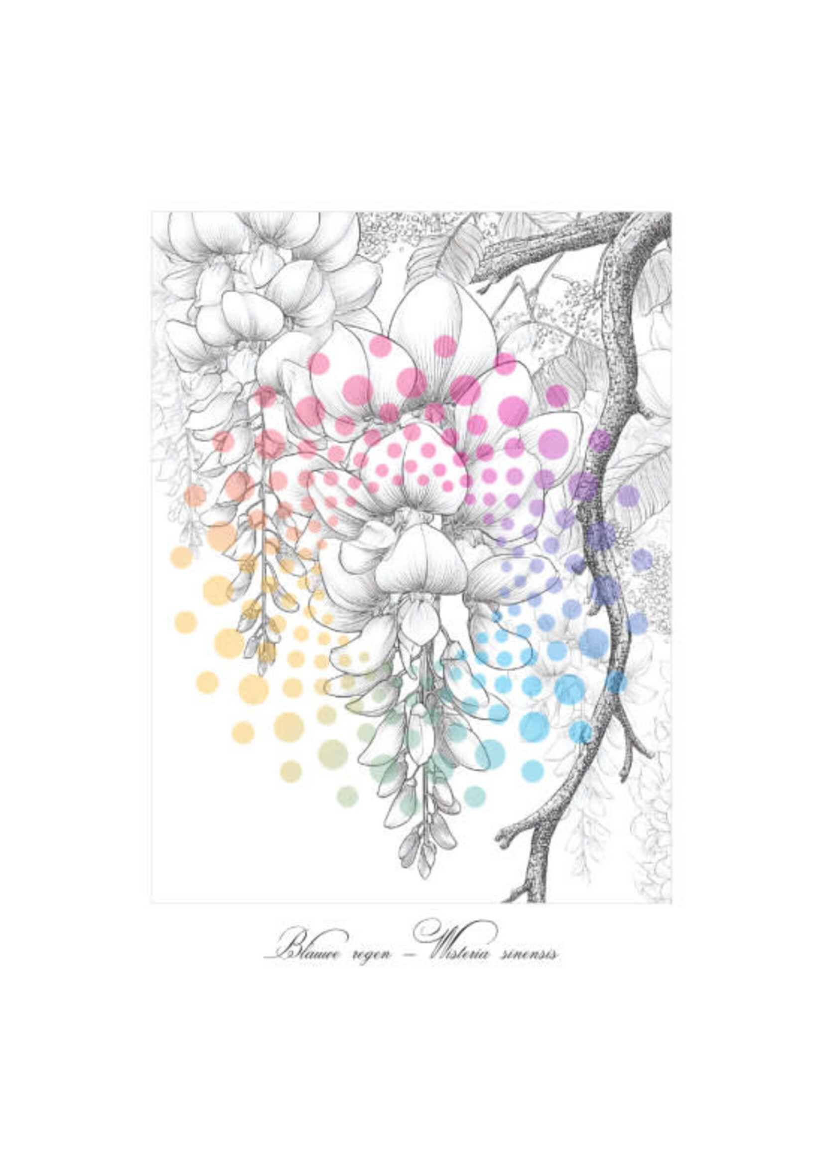 Bloemen in Bloei | Kleurboek voor Volwassenen