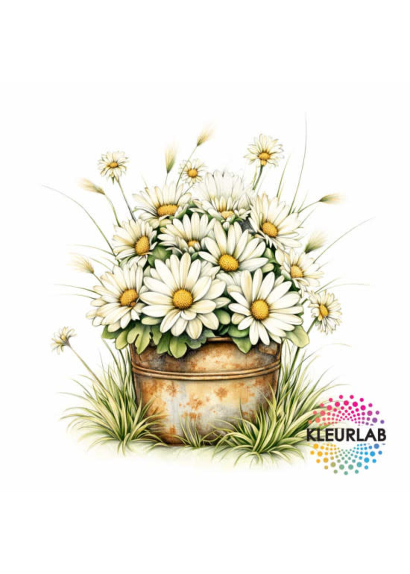 De Kleine Bloementuin | Kleurboek voor Volwassenen binnenkort weer leverbaar al wel vast te bestellen