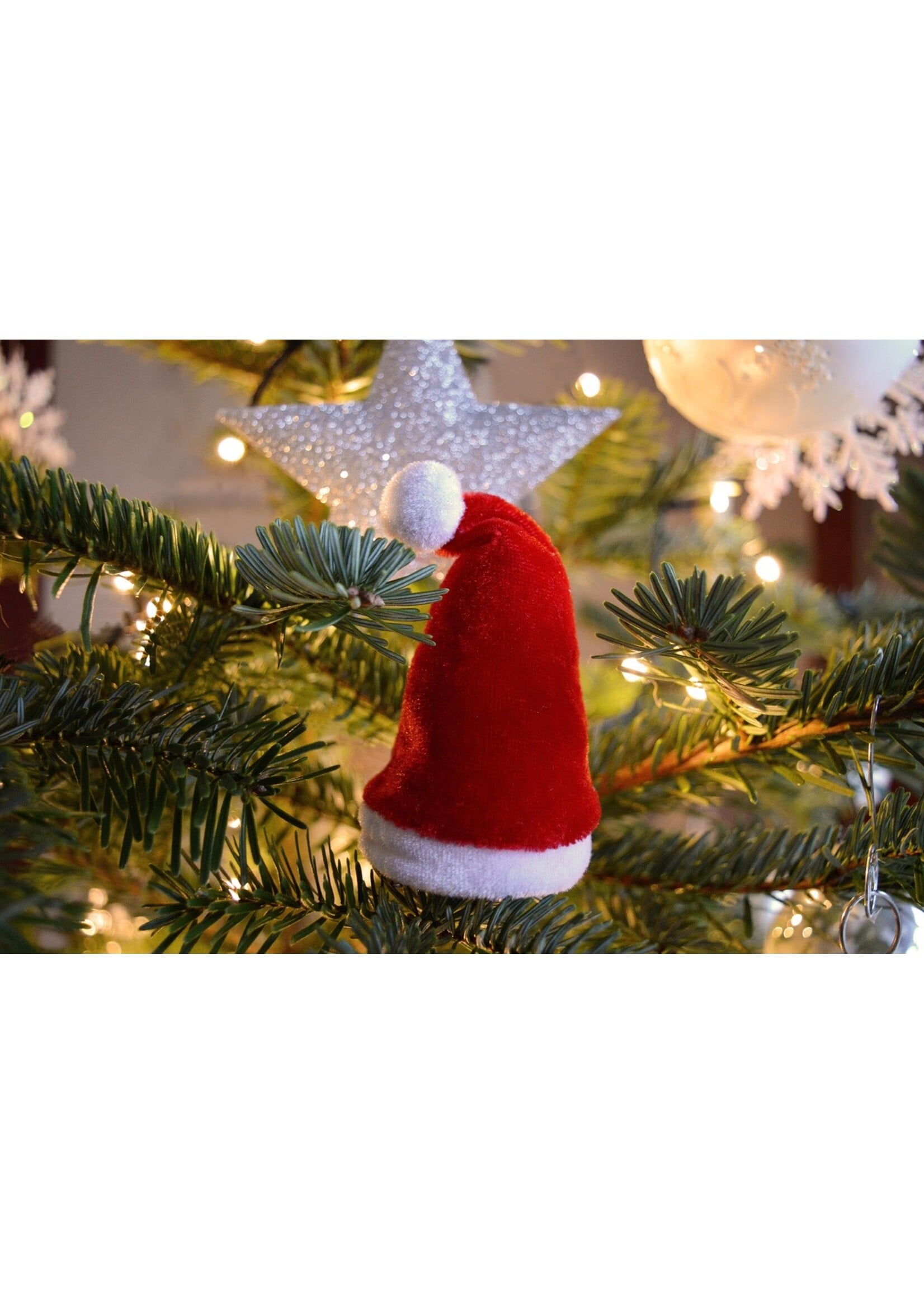 Kerstkaarten workshop met Bartha en Miranda 25 september