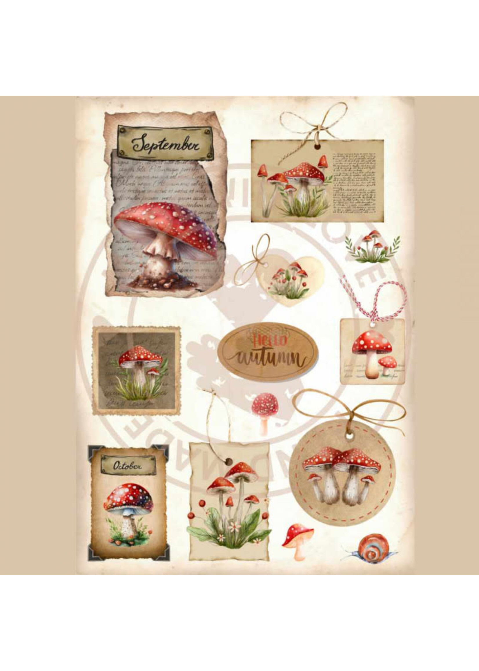 Juffrouw Muis Paperpad - Bosgeheimen