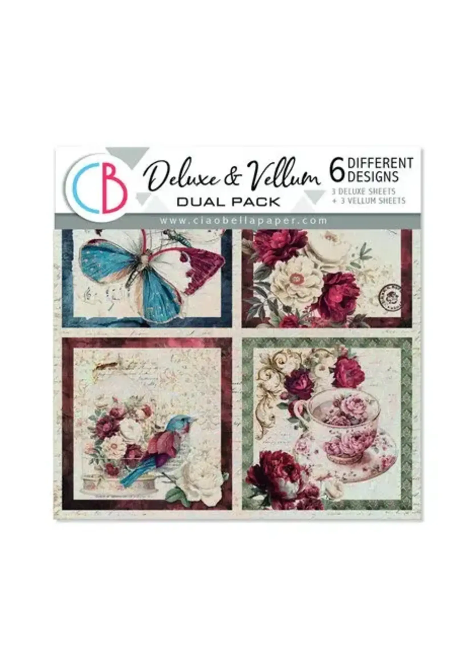 Bohemian Burgundy 6x6 Inch Deluxe Paper Silver & Vellum Dual Pack Mixed (6pcs) (CBXQ012)