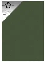Star Rain A4 Forest Green 130gsm (10pcs) (PFSS606)