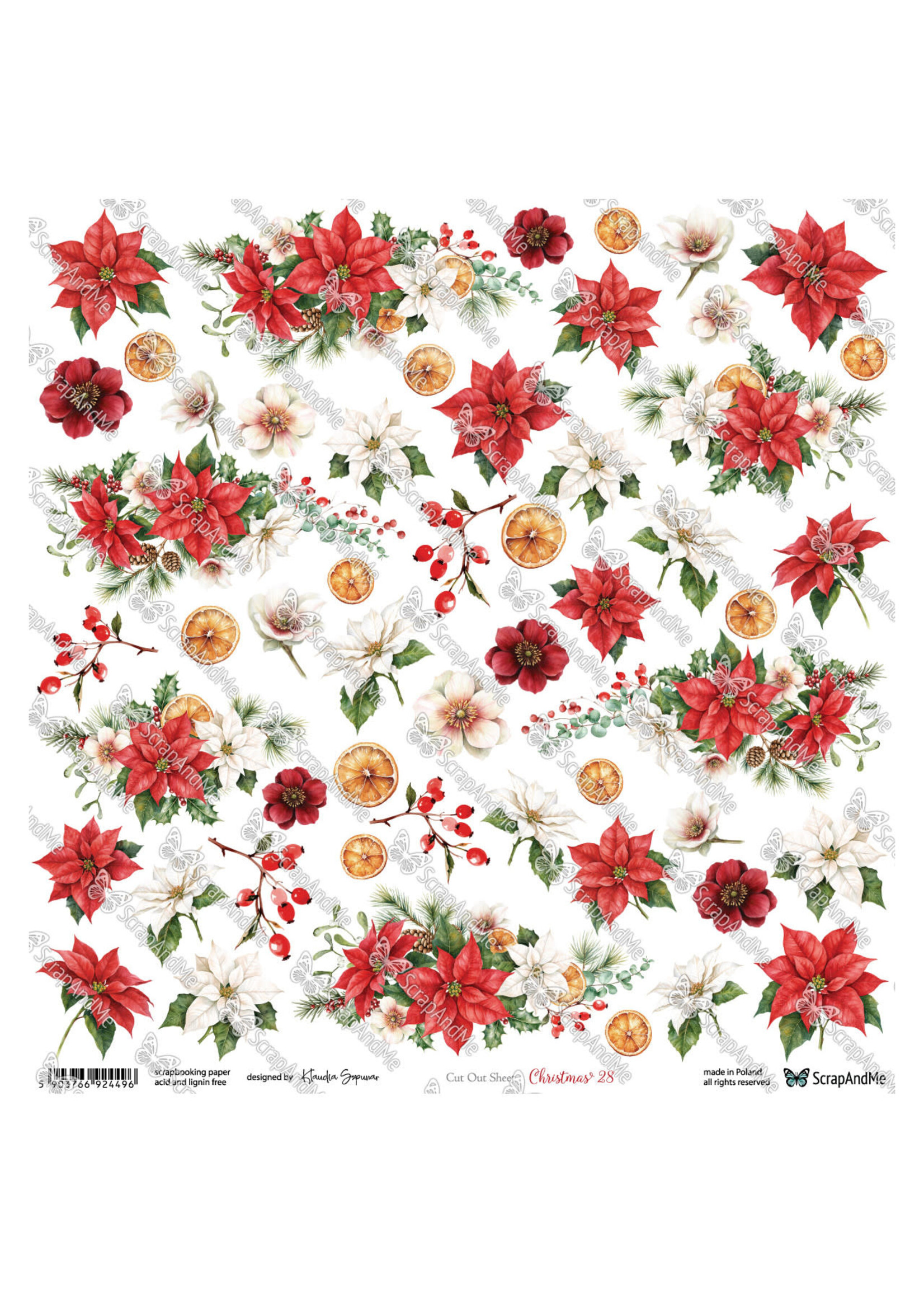 Kerst 28 poinsetta